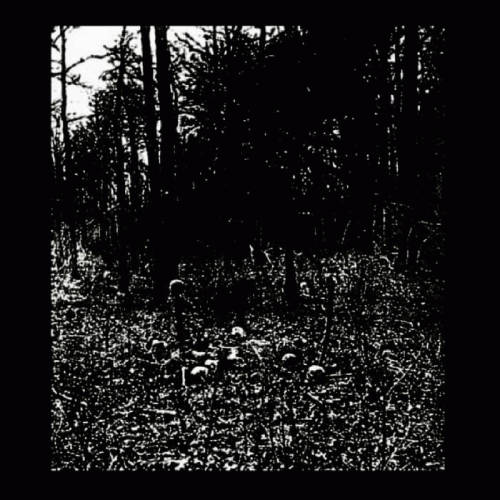 Transition of the Soul